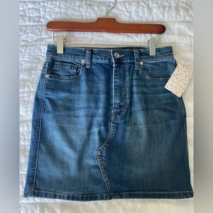 Free People Denim Skirt